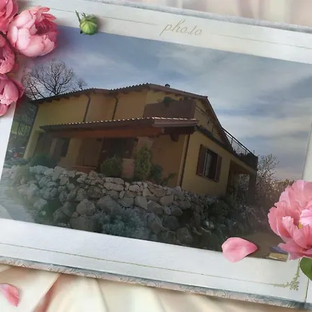 Jack's House *